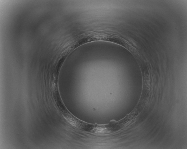 X0000060570507200511071023