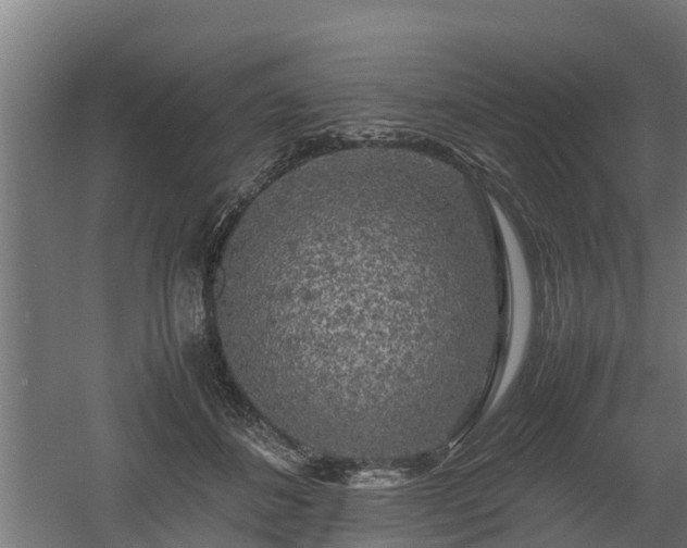 X0000060570508200511071023