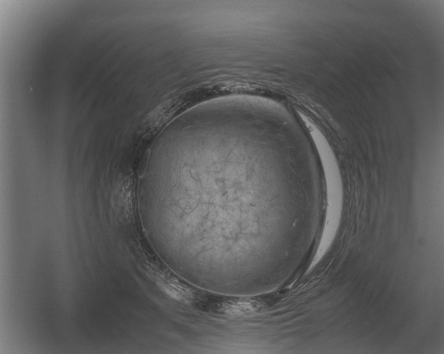 X0000060570513200511071022