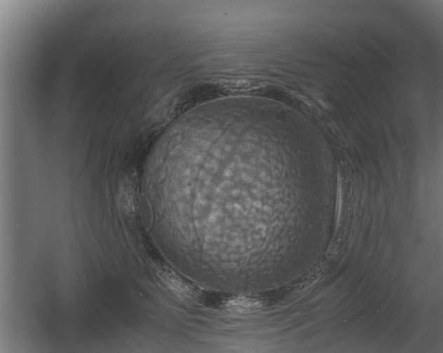 X0000060570515200511071022