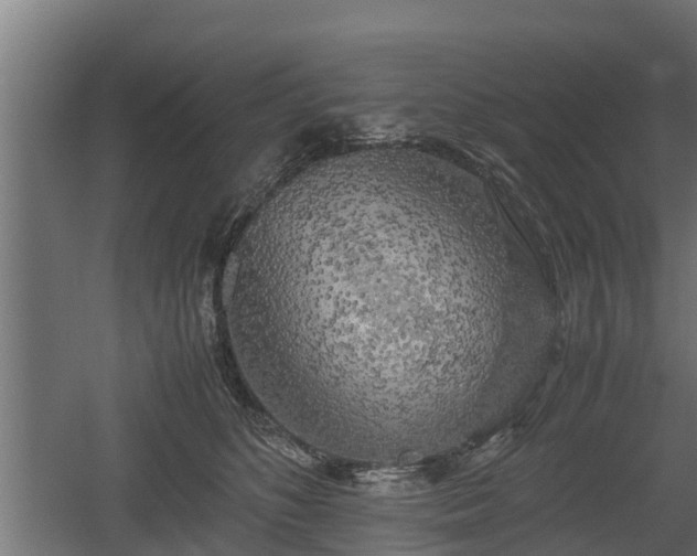 X0000060570516200511071022