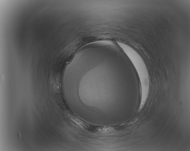 X0000060570517200511071022