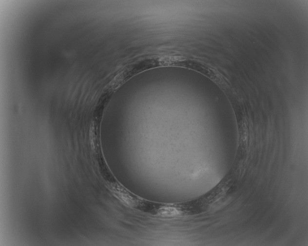 X0000060570519200511071022