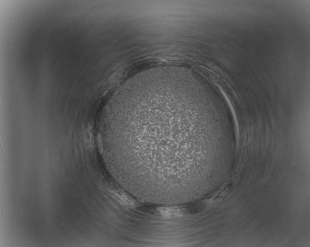 X0000060570520200511071022