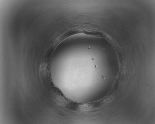 X0000060570521200511071022