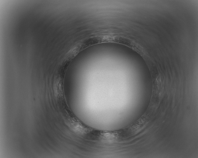 X0000060570522200511071022