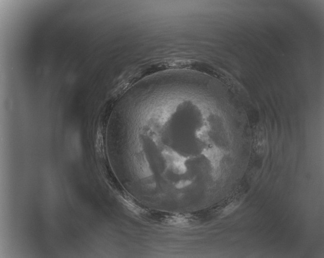 X0000060570523200511071022