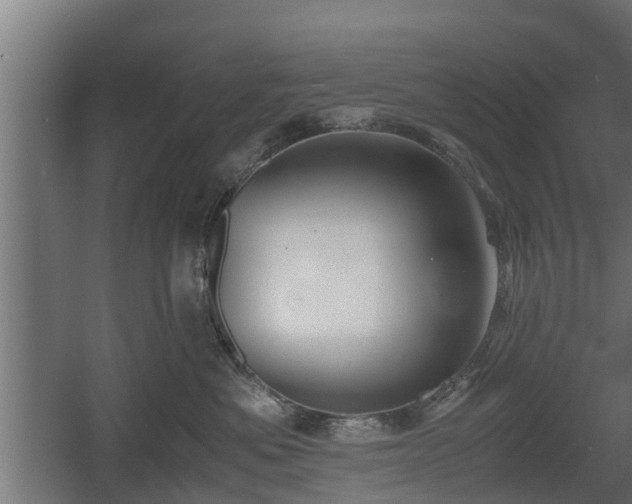 X0000060570525200511071022