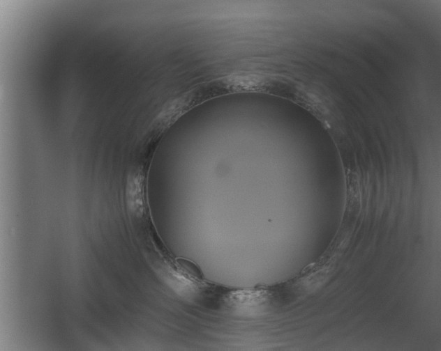 X0000060570526200511071022