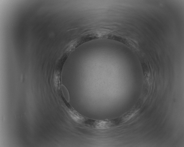 X0000060570527200511071022