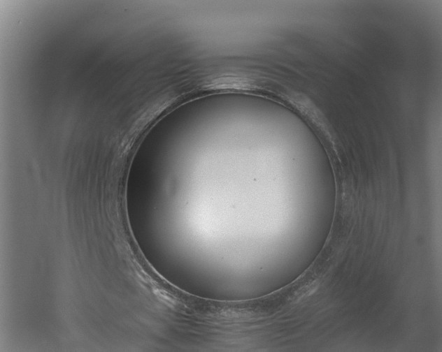 X0000060570529200511071021