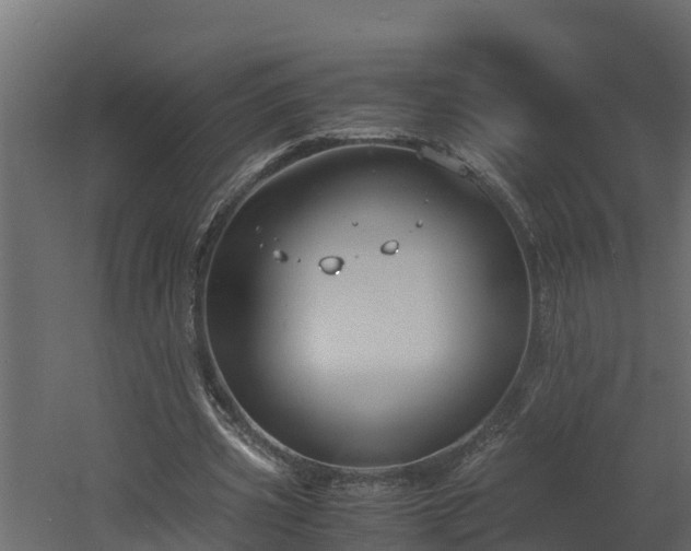 X0000060570533200511071021