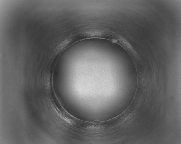 X0000060570537200511071022