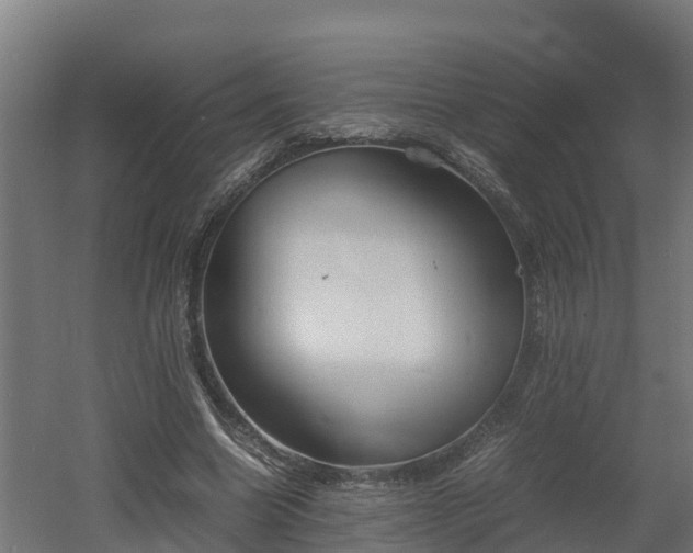 X0000060570538200511071022