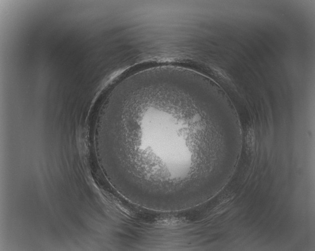 X0000060570540200511071022