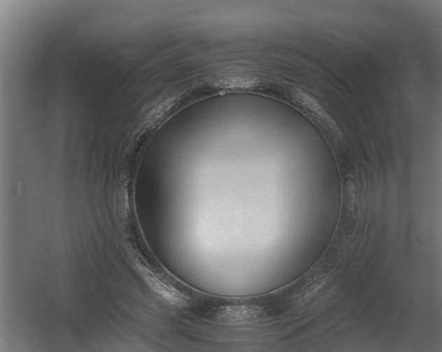 X0000060570541200511071022