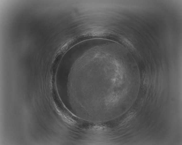 X0000060570542200511071022