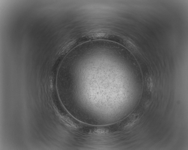 X0000060570546200511071022