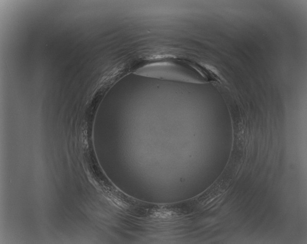 X0000060570547200511071022