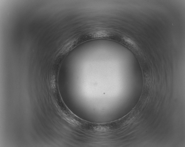 X0000060570549200511071022