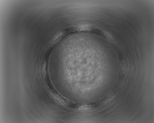 X0000060570550200511071022