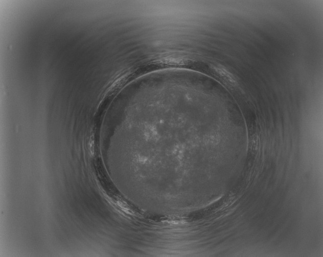 X0000060570552200511071022