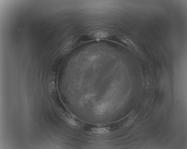 X0000060570553200511071022