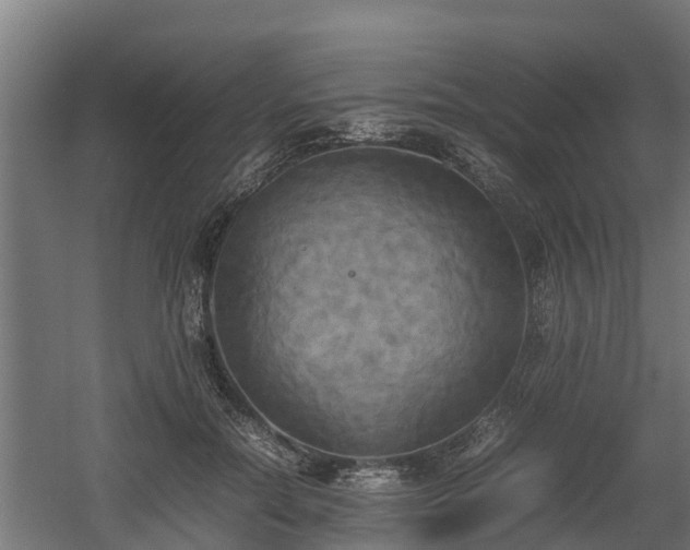 X0000060570554200511071022