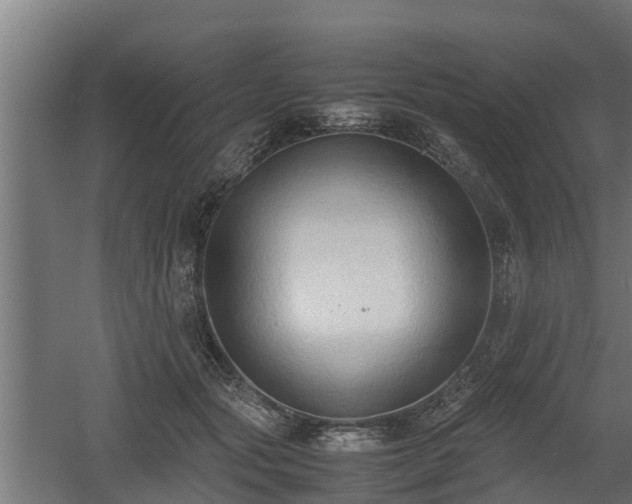 X0000060570557200511071022