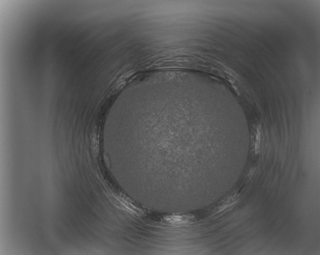 X0000060570558200511071022