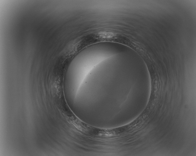 X0000060570559200511071022