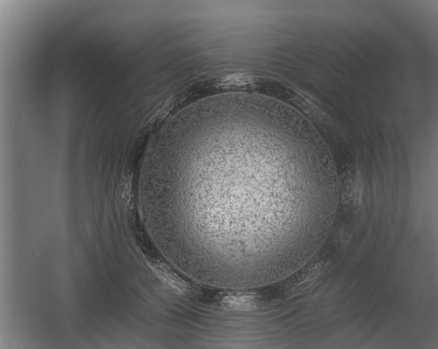 X0000060570560200511071022