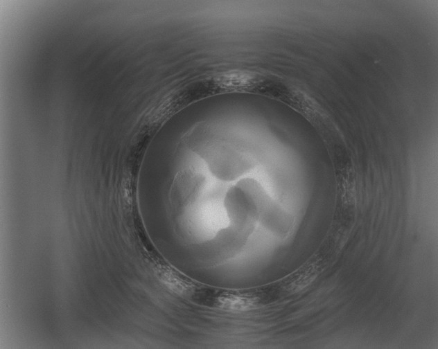 X0000060570561200511071022