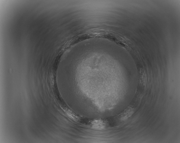 X0000060570562200511071022