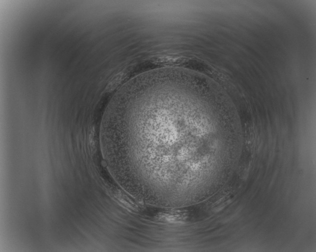 X0000060570563200511071022