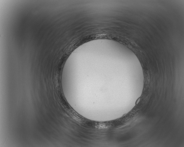 X0000060570565200511071022