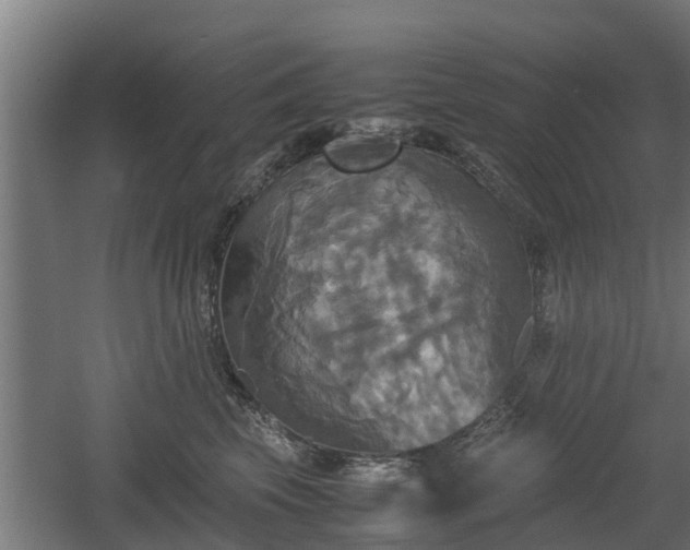 X0000060570569200511071022