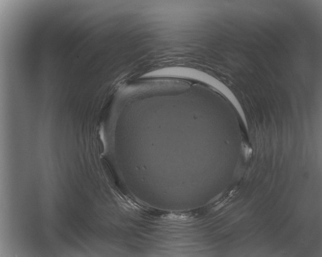 X0000060570570200511071022