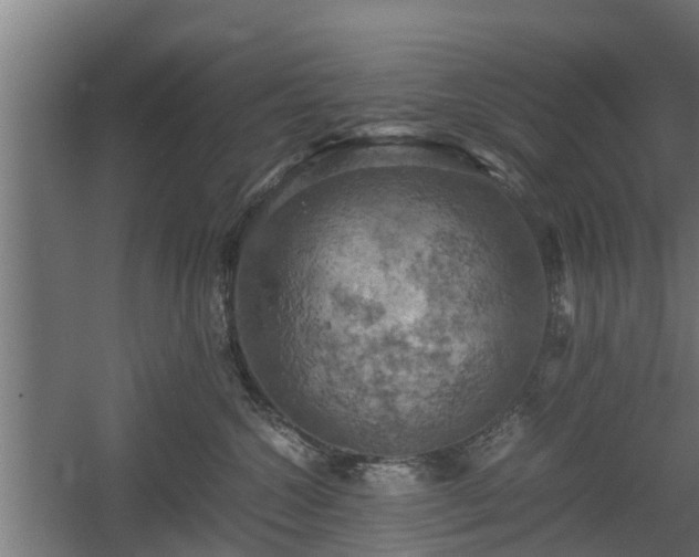 X0000060570572200511071022