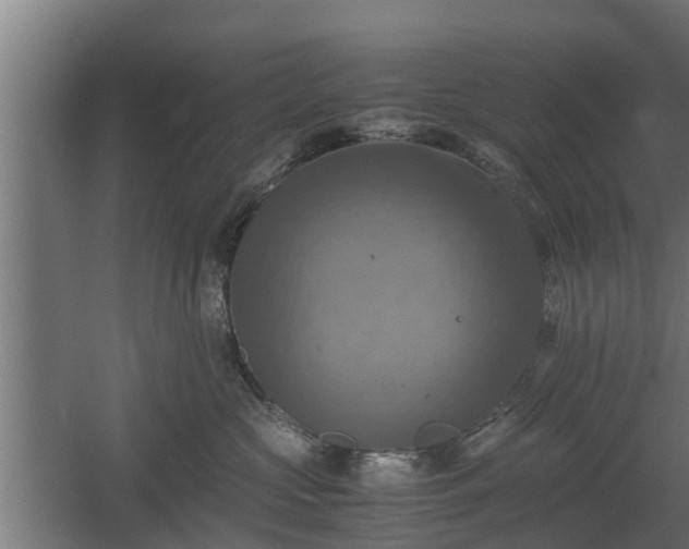 X0000060570573200511071022