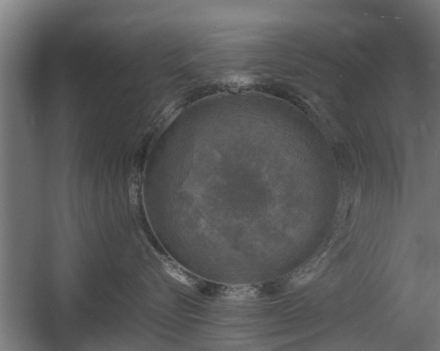 X0000060570576200511071022