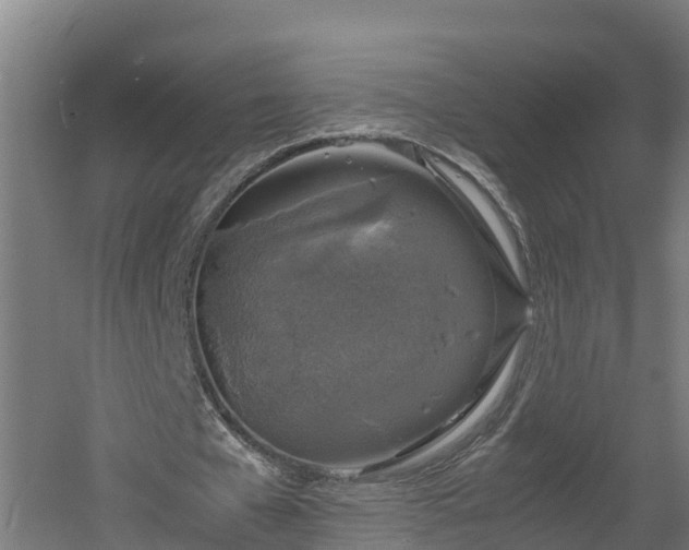 X0000060570577200511071021