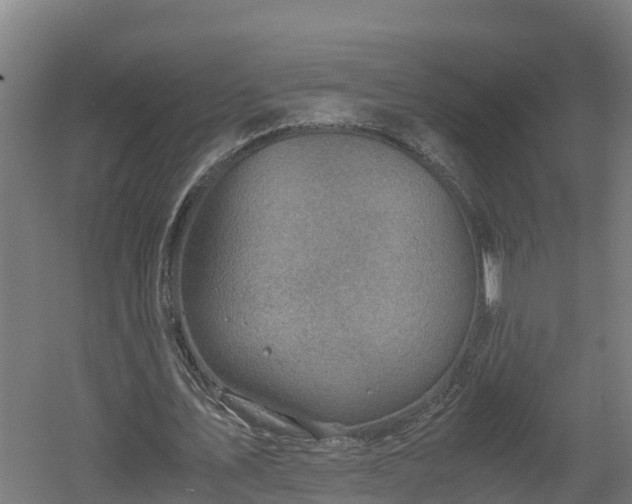 X0000060570579200511071021