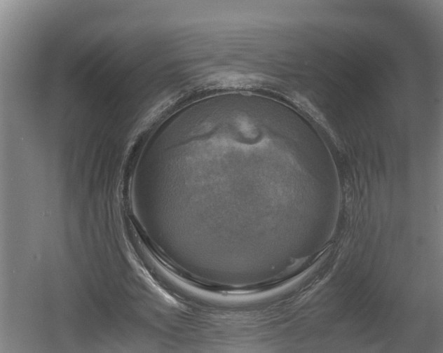 X0000060570581200511071021