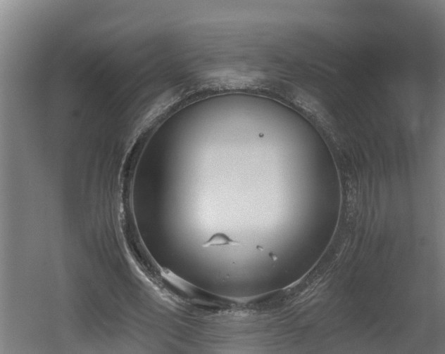 X0000060570582200511071021