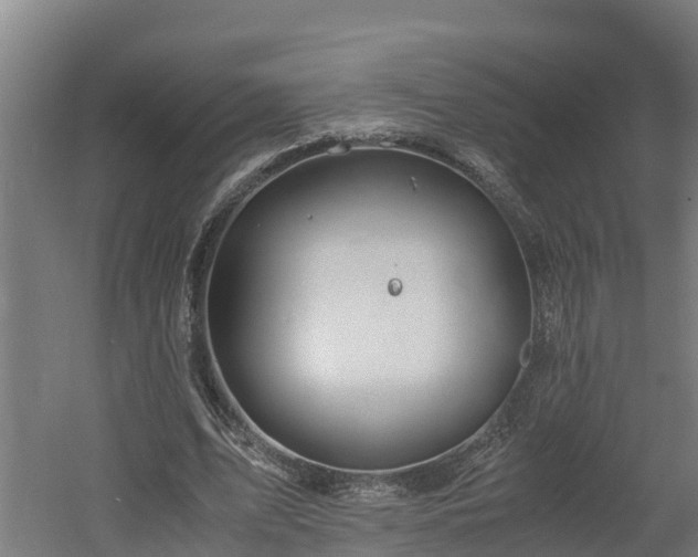 X0000060570583200511071021