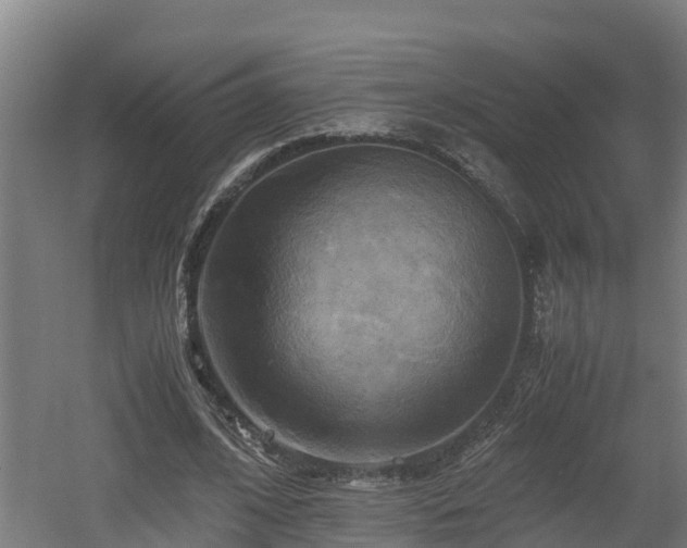 X0000060570584200511071021