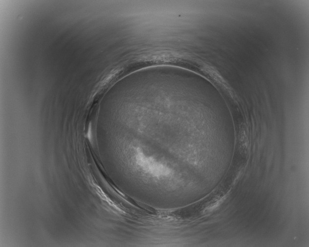 X0000060570585200511071021