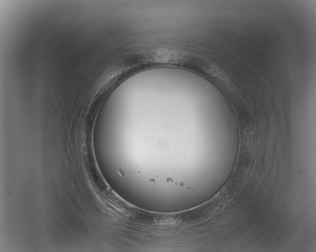 X0000060570587200511071021