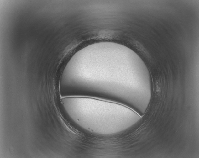 X0000060570588200511071021